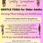 Gentle Yoga for Older Adults